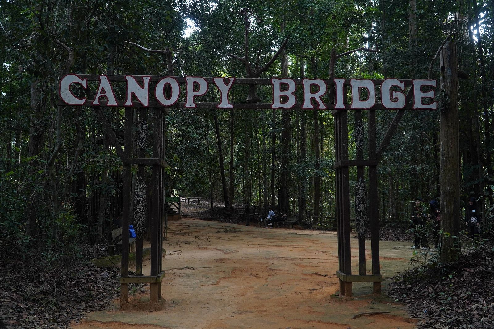 Foto Bukit Bangkirai