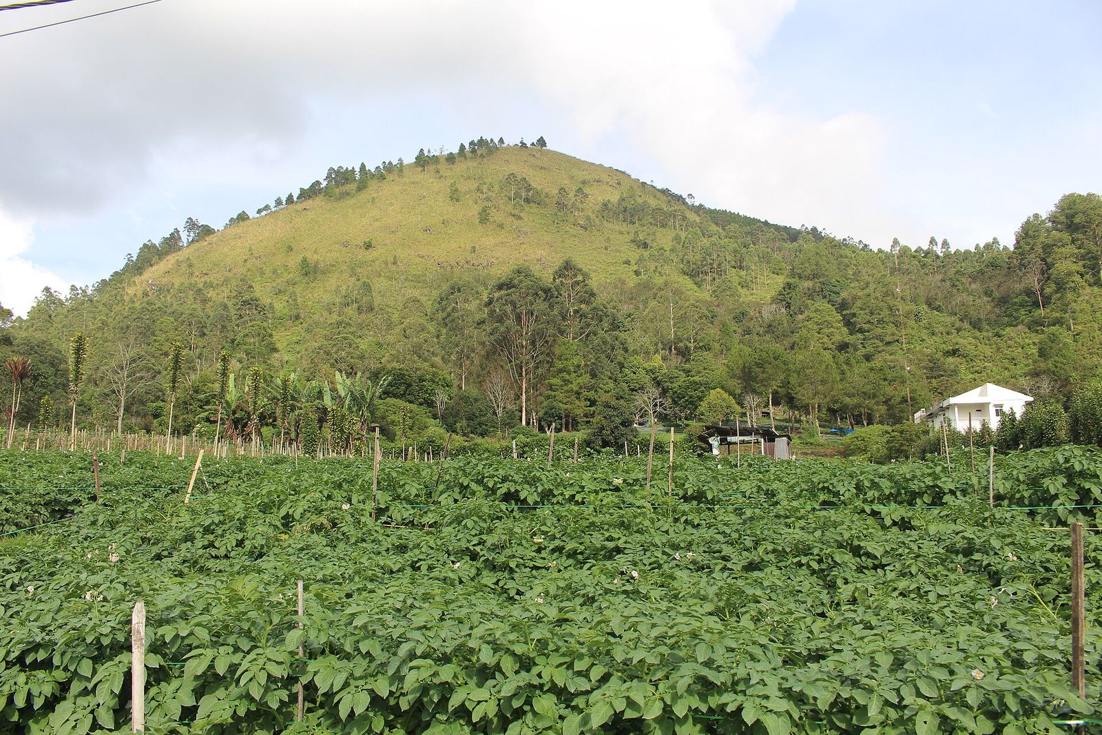 Foto Bukit Gundul