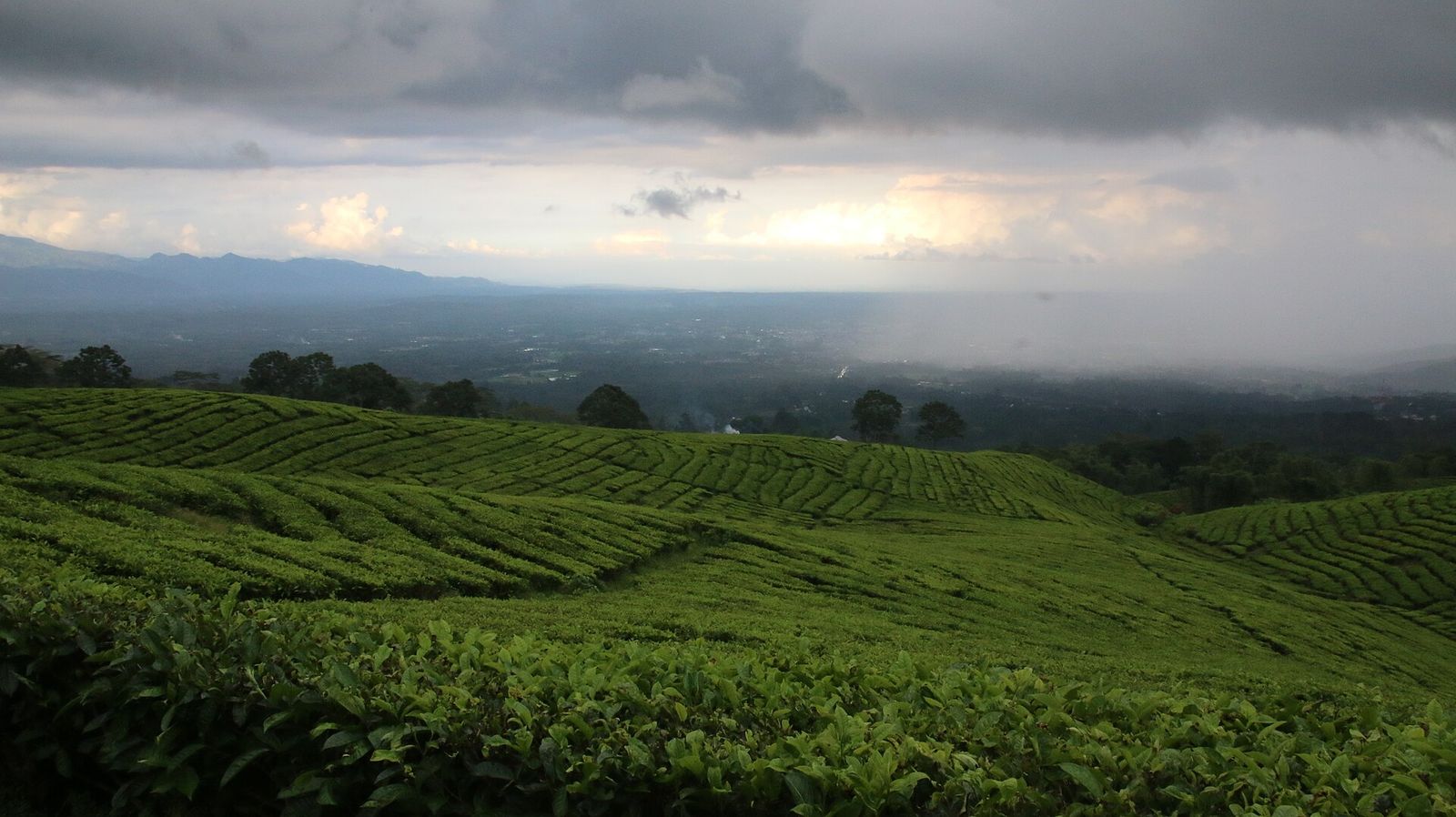 Foto Gunung Dempo
