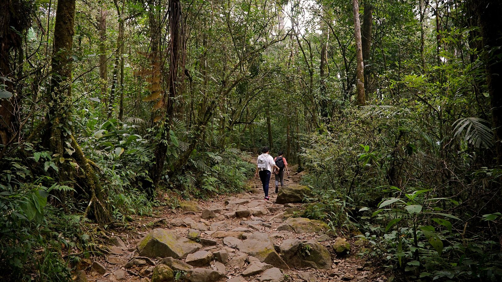 Foto Gunung Gede