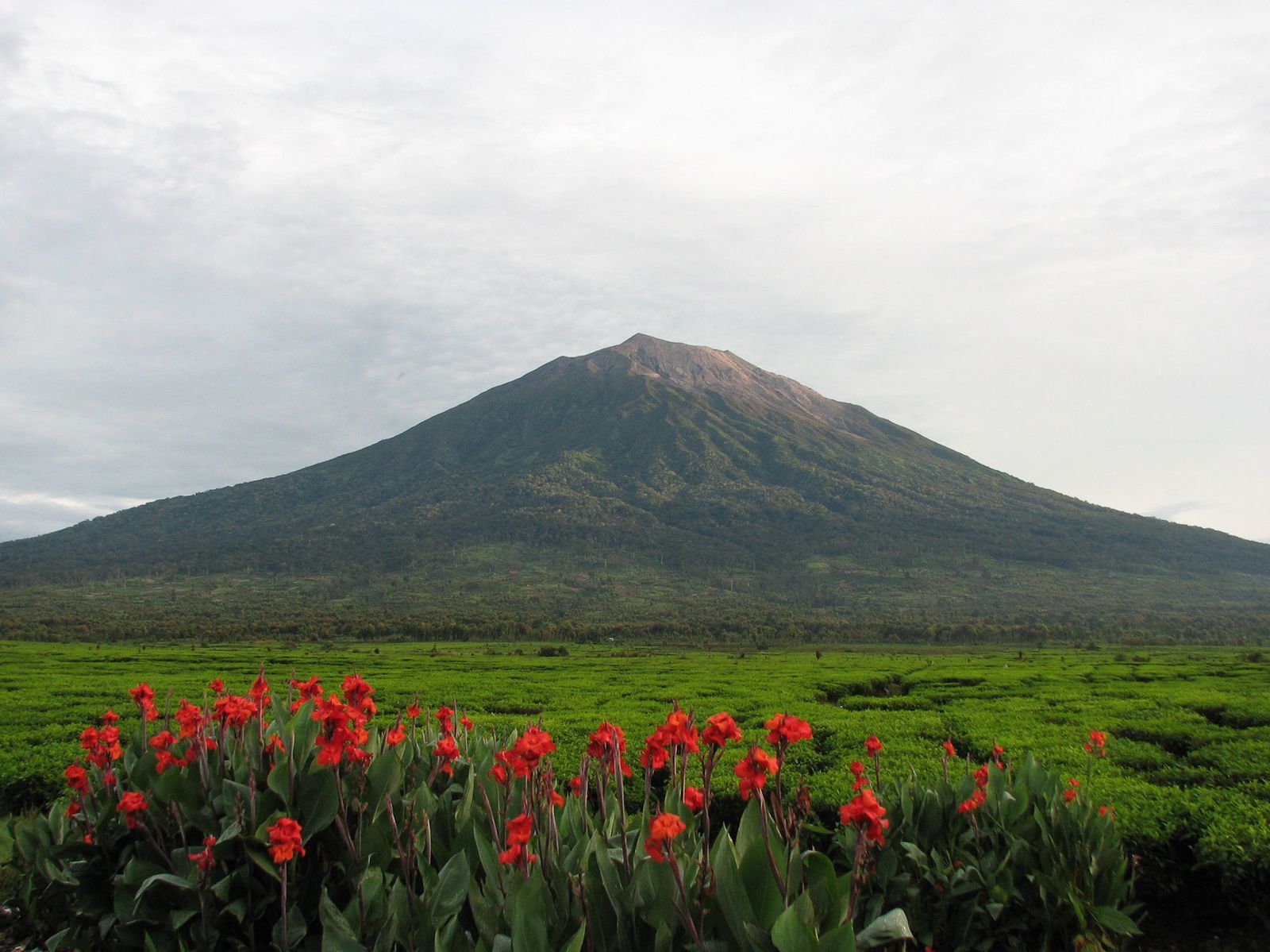 Foto Gunung Kerinci