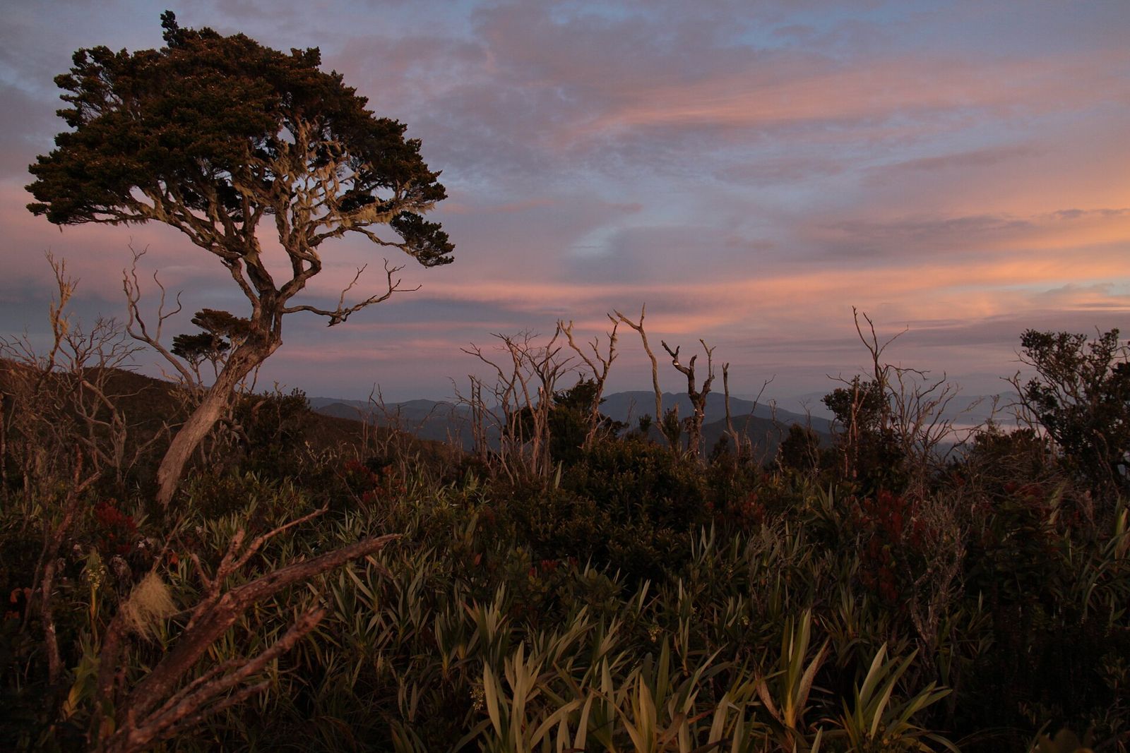 Foto Gunung Leuser