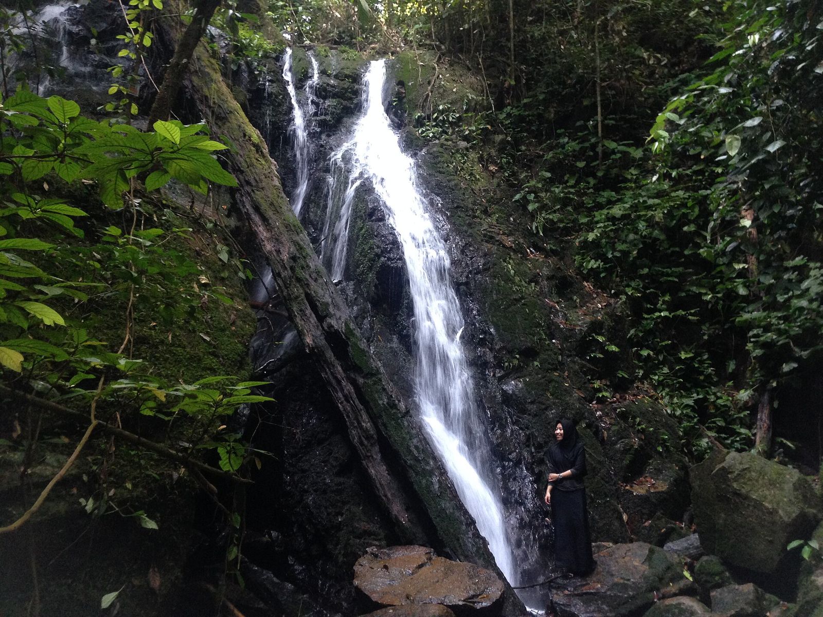 Foto Gunung Palung (Taman Nasional Gunung Palung)