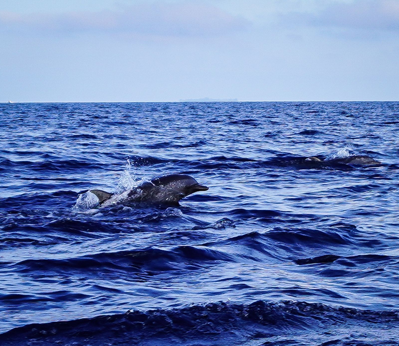 Foto Kepulauan Derawan