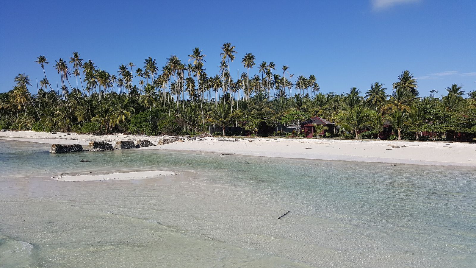 Foto Pulau Maratua