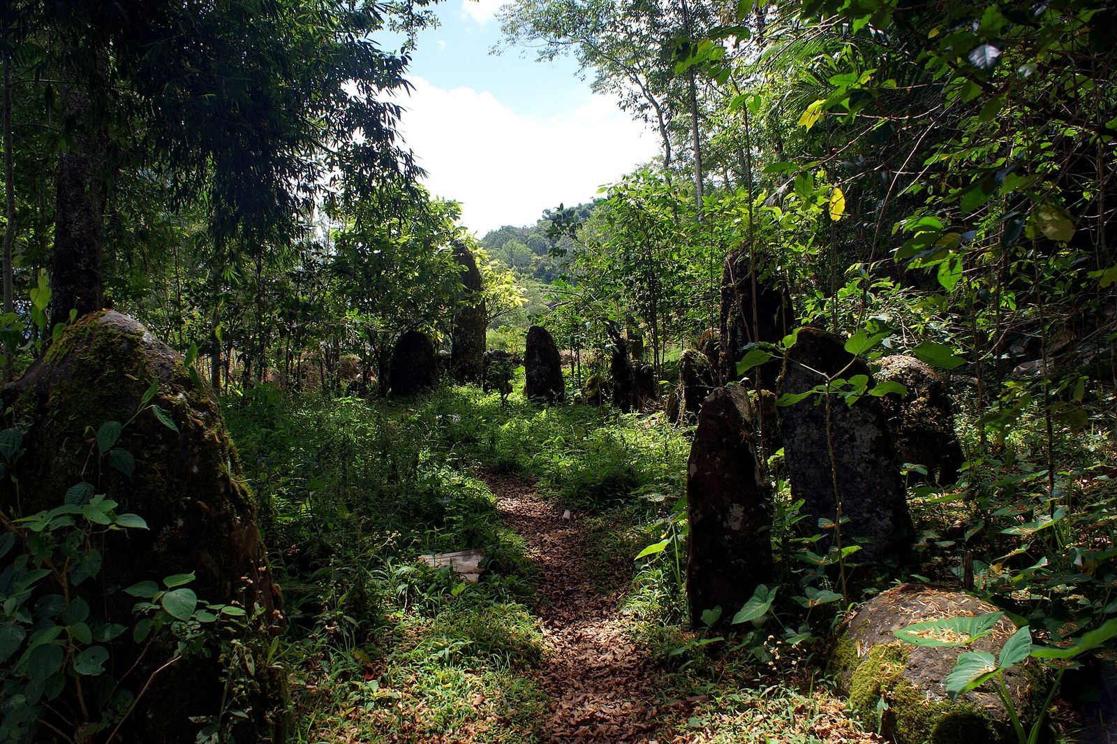 Foto Tana Toraja
