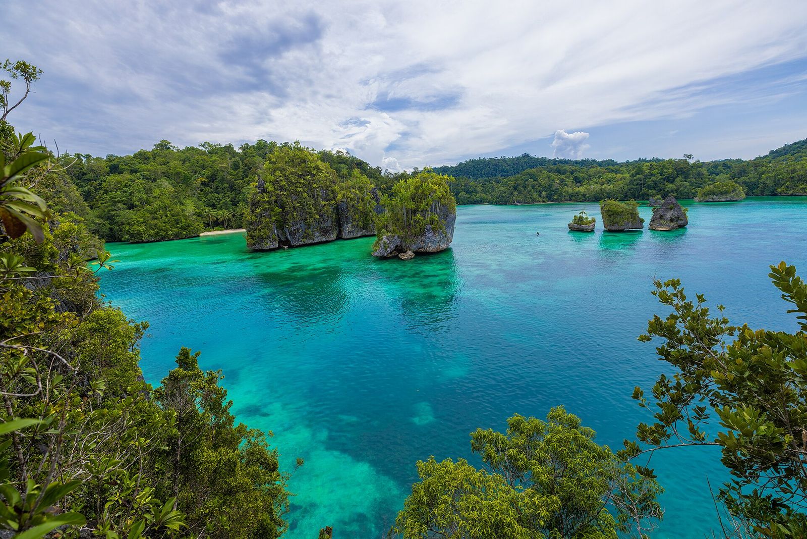 Foto Teluk Triton